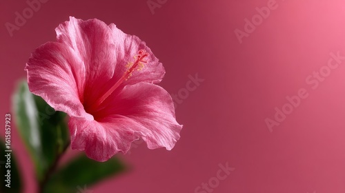Beautiful pink hibiscus flower in focus. This image captures the elegance and charm of nature. Ideal for design projects or botanical themes. Vibrant colors evoke joy and freshness. AI