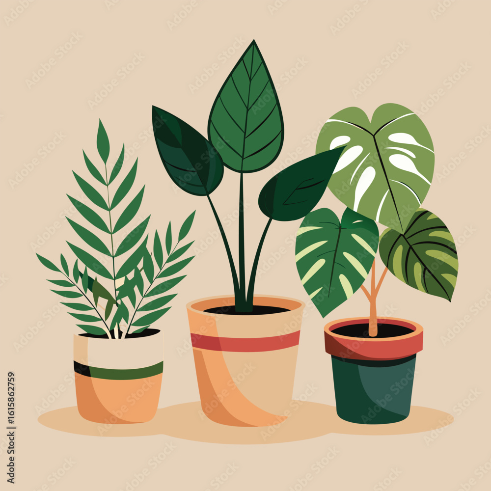 Fototapeta premium plant in pot