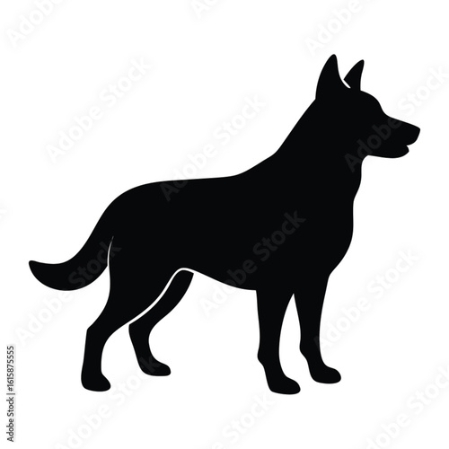 A Silhouette of a Standing Dog with a Bushy Tail