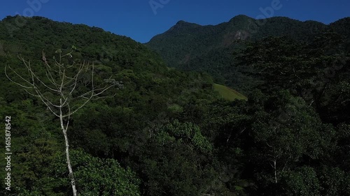 Aerial view of a mountainous and preserved region of the Atlantic Forest, a tropical rainforest in Rio de Janeiro, Brazil. The beauty and biodiversity are the highlights.