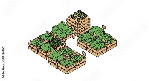 Fresh produce crates with leafy green vegetables