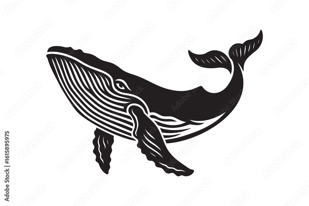 Fototapeta premium Whale engraving black on white bold vector illustration