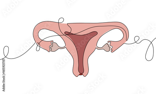 Female Reproductive System in One Line Art Style
