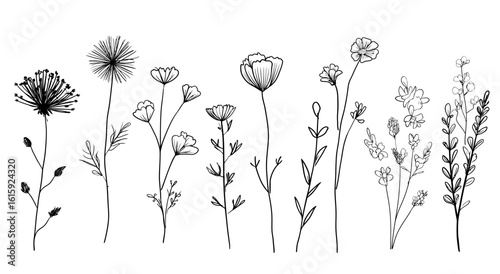 
A set of hand drawn wildflowers doodles, vector illustration, simple line art, cute style, simple lines, doodle clipart, doodling, simple, white background.
