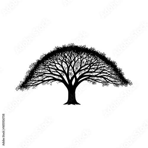 tree silhouette isolated on white