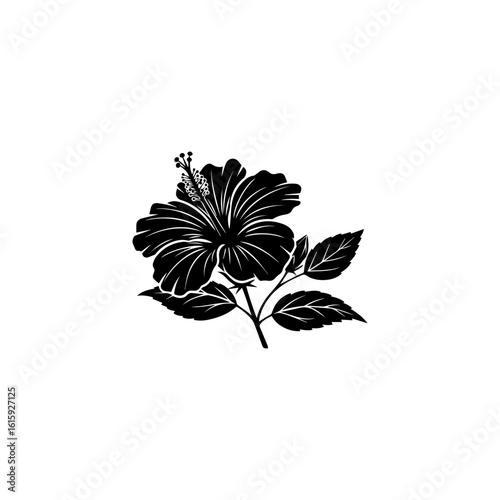black and white flower vector