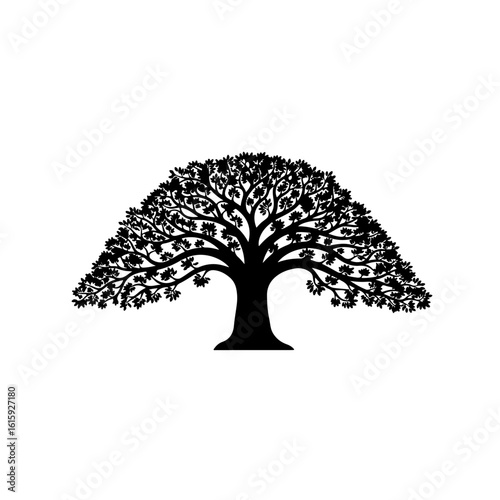 tree with roots