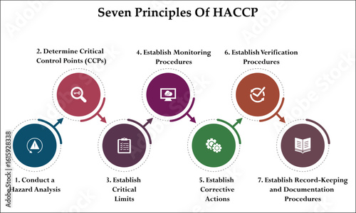 Seven Principles Of HACCP model. Infographic template with icons and description placeholder