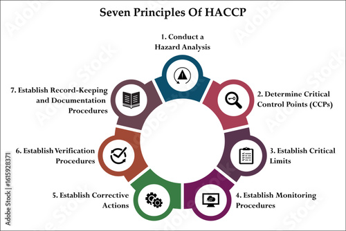 Seven Principles Of HACCP model. Infographic template with icons and description placeholder