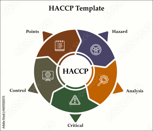 HACCP - Hazard, Analysis, Critical, Control, Points. Infographic template with icons and description placeholder