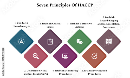 Seven Principles Of HACCP model. Infographic template with icons and description placeholder
