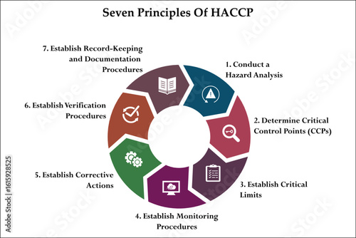 Seven Principles Of HACCP model. Infographic template with icons and description placeholder