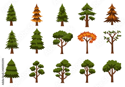 Cartoon tree set pine maple and deciduous variants with diverse shapes  colors