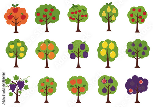 Rows of fruit trees displaying apples oranges pears figs lemons plums peaches cherries and grapes