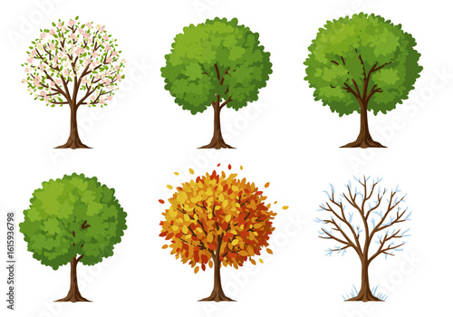 Six trees showing spring summer fall and winter seasons