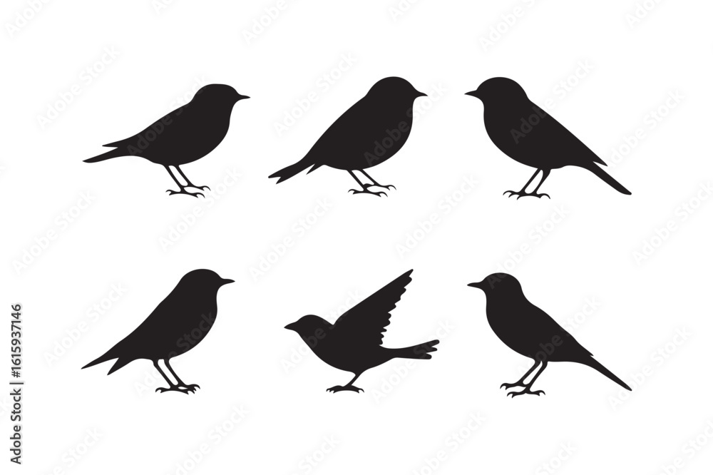 Obraz premium Collection of six bird silhouettes in various poses