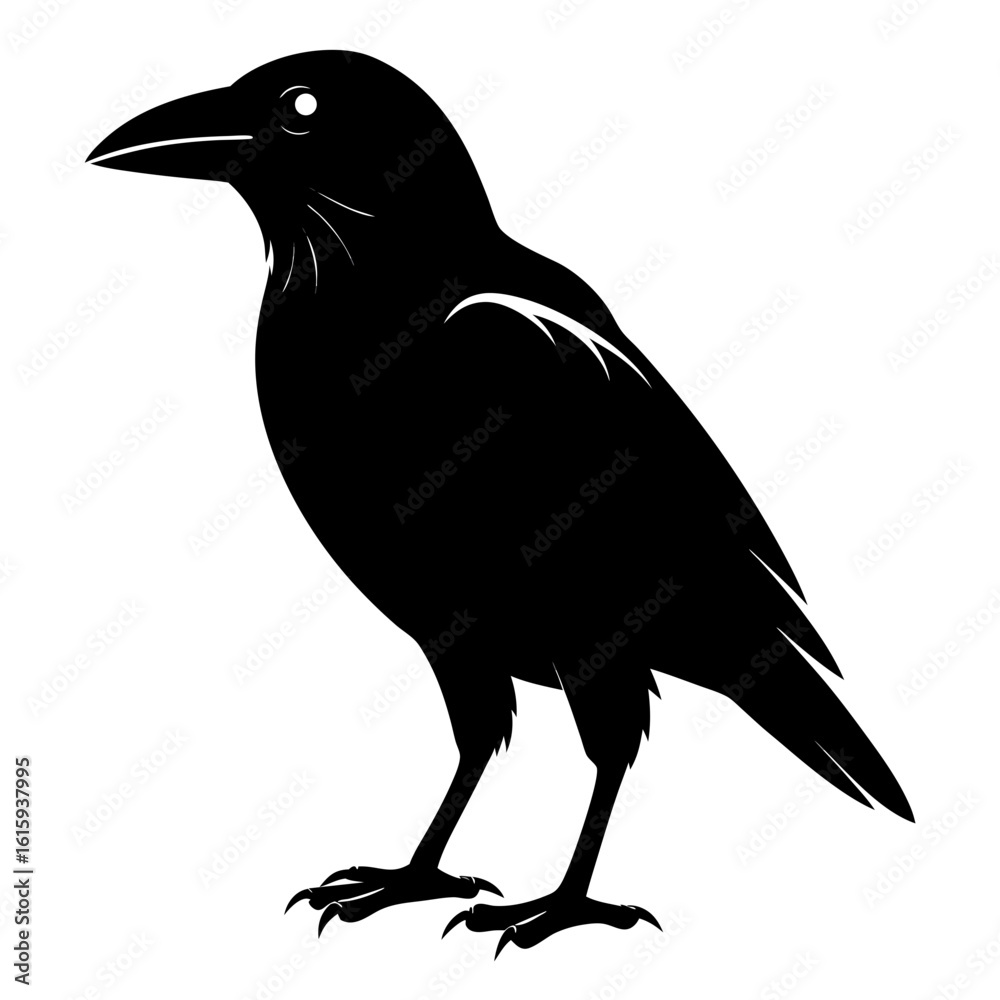 Fototapeta premium crow on white background