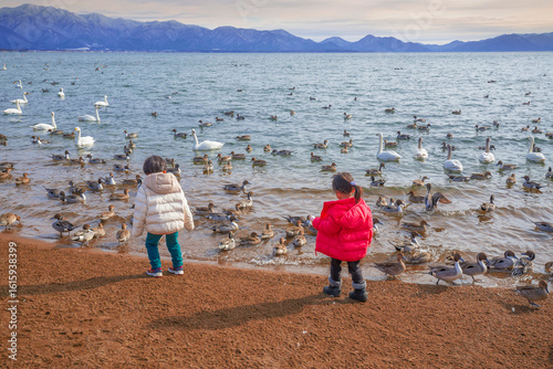 children (boy and girl) playing with Dabbling ducks bird by the sea on a bright day in winter time in Japan