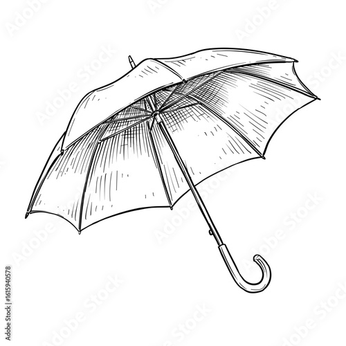 umbrella vector line art hand drawn illustration