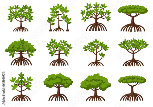 Twelve stylized mangrove trees arranged in a grid pattern showcasing root and leaf variations