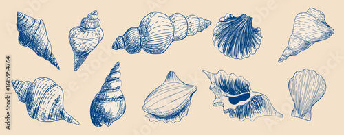 
Set of vector hand-drawn seashells and conch shells, doodle line art drawing in blue color on a beige background.