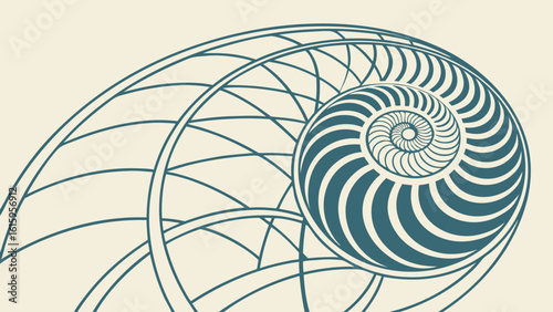 Geometric Spiral Shell Illustration – Minimal Nautilus-Inspired Line Art with Hypnotic Pattern for Posters, Wall Decor, Math Art, Nature Prints, Science Journals, and Sacred Geometry Designs