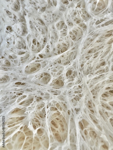 Close up of a sourdough, tesxtured bakground