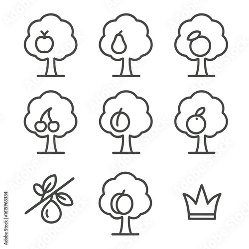 Fruit Tree Icons. Line style icons of Fruit Tree Symbols: apple tree, pear tree, peach tree, cherry tree, plum tree, citrus tree,