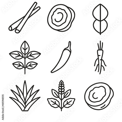 Thai Herbal Icons. Line style icons of Thai Herbal Ingredients: lemongrass stalk, galangal slice, kaffir lime leaf, Thai basil,