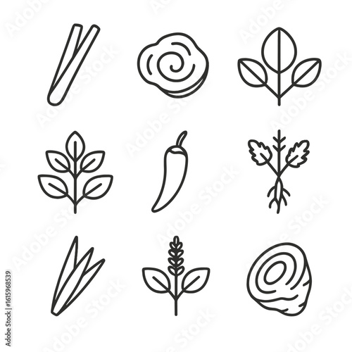 Thai Herbal Icons. Line style icons of Thai Herbal Ingredients: lemongrass stalk, galangal slice, kaffir lime leaf, Thai basil,