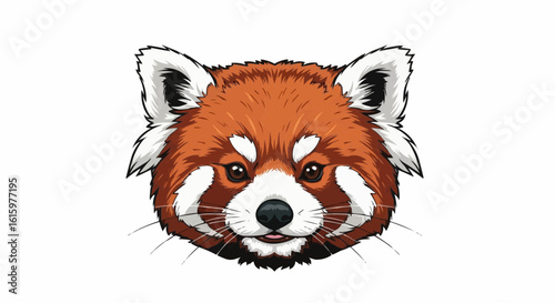 red panda 