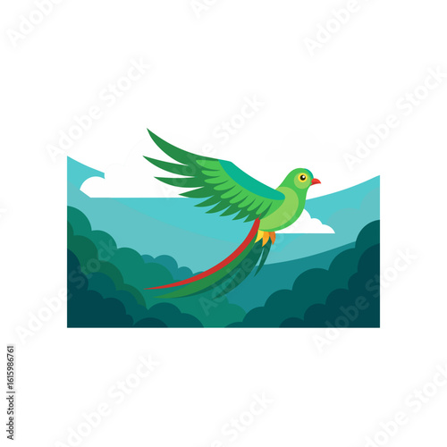 quetzal bird in flight above cloud forest