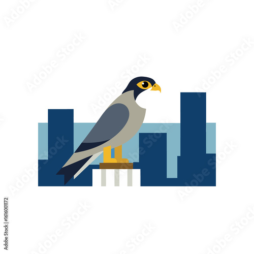 blue bird on a wire