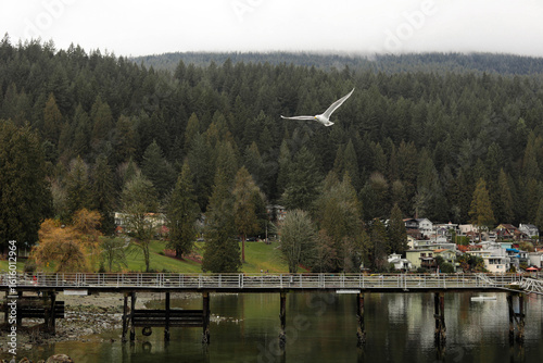 deep cove 2022