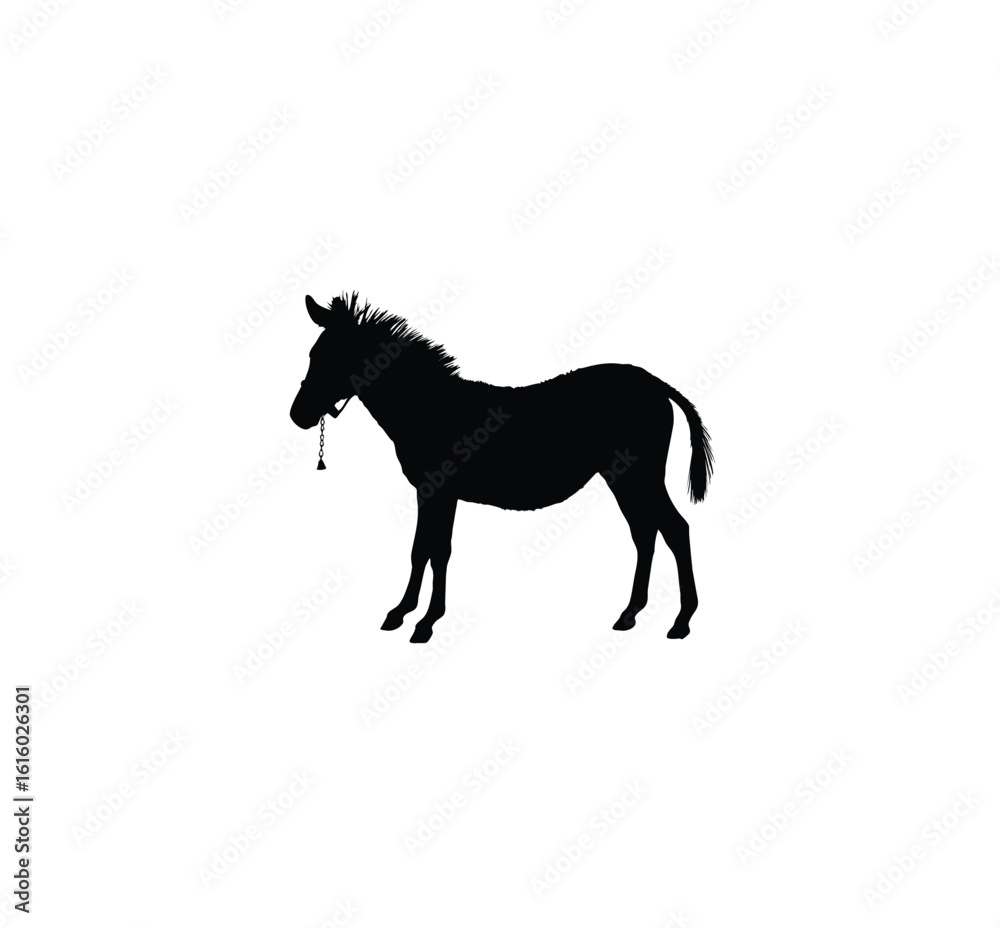 Silhouette of a donkey standing with a bell around its neck against white background. Silhouette of a donkey standing with a bell around its neck against white background.