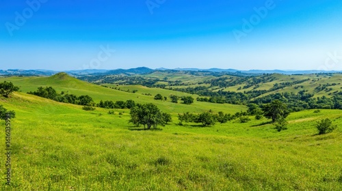 Green hills and meadows panorama