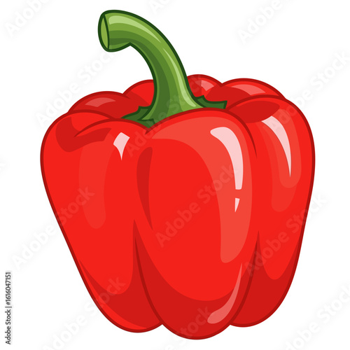 Vector art of a red bell pepper is isolated on white background