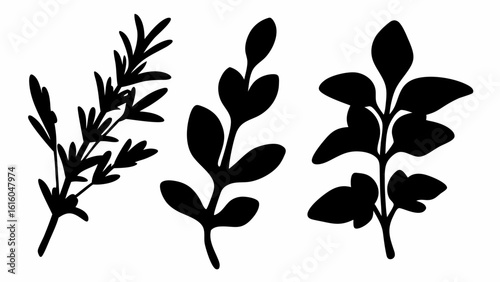 Three black plant stems with different leaf shapes isolated on a white background illustration design silhouette