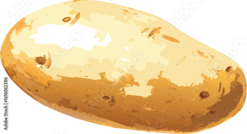 Russet Potato: A Detailed Visual Guide