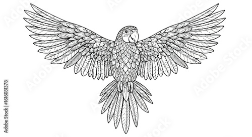 Detailed Black and White Line Art Parrot with Spread Wings and Intricate Feather Patterns.