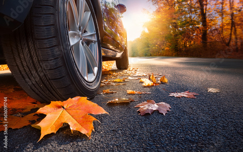 Detail of autumn leaves on the ground, asphalt road, and detail of a tire from a moving car