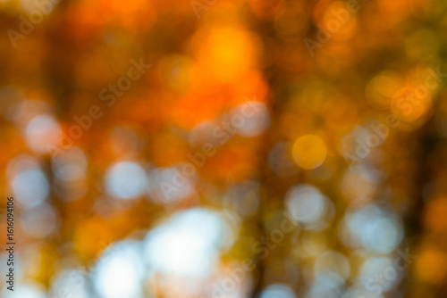 Fototapeta Naklejka Na Ścianę i Meble -  Autumn blur background with foliage. Vibrant fall leaves in soft bokeh light. Yellow maple leaf falling in natural sunlight. Abstract defocused forest with orange tones. Blurred park with colorful