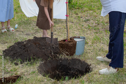 A group of people volunteers work planting young trees in the park and watering them