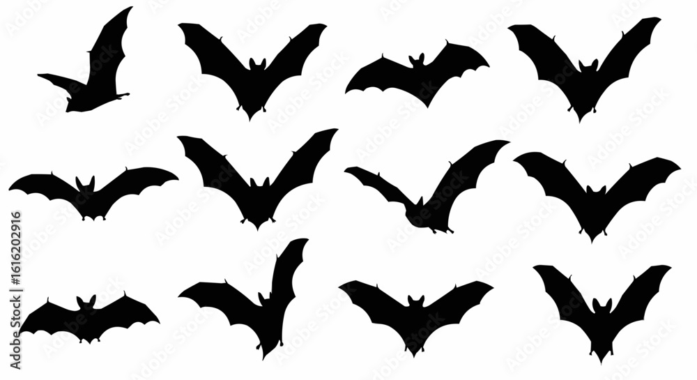 Fototapeta premium Bat Silhouettes Vector Set on White Background