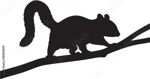 silhouette of a sugar glider leaping between branches, stretched body, on white background