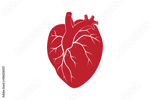 Anatomical Heart Illustration in Red with White Veins Depicting Cardiovascular Health and Medical Symbolism in a Silhouette Style silhouette