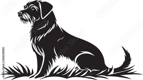 Black shaggy dog sitting in grass vector