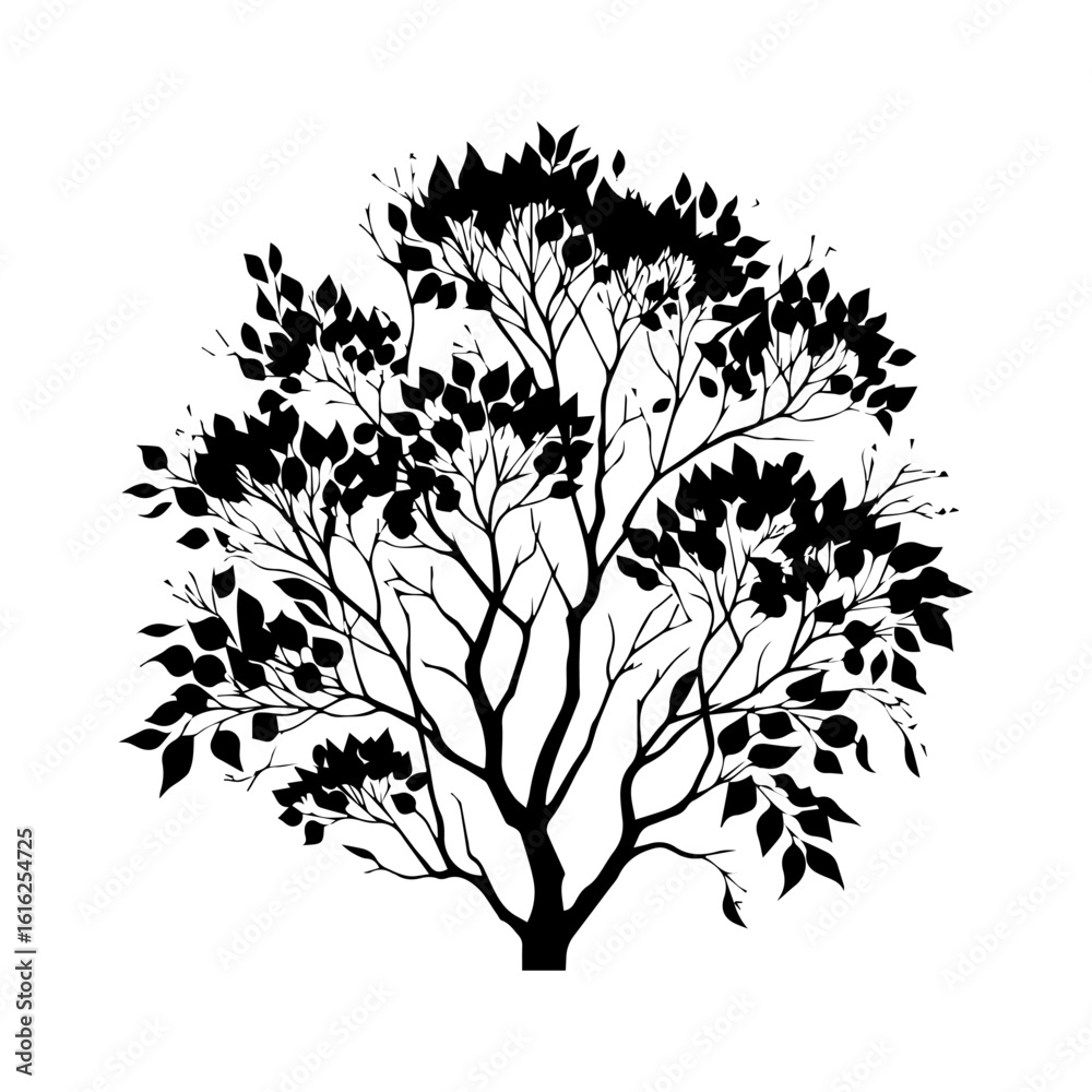 Fototapeta premium Black Silhouette of a Lush Leafy Tree.