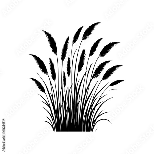 Black Silhouette of Pampas Grass Plume.