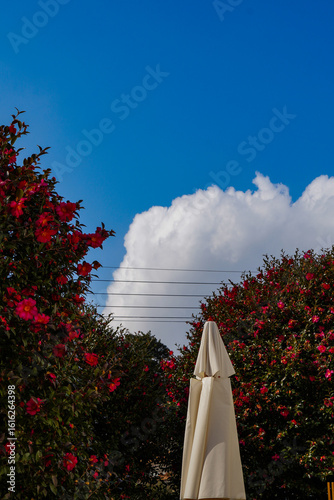 white clouds in the sky